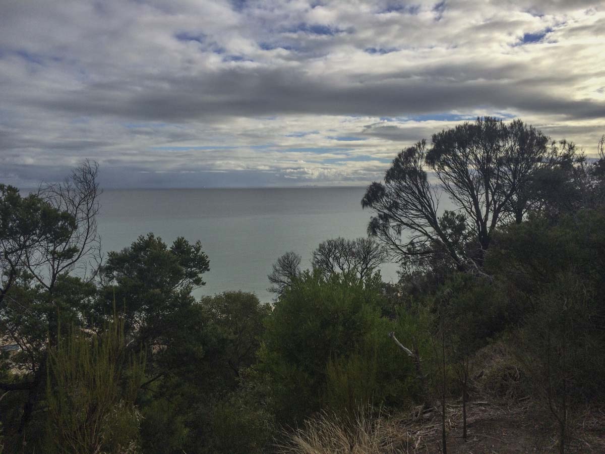 Two bays walking track 3
