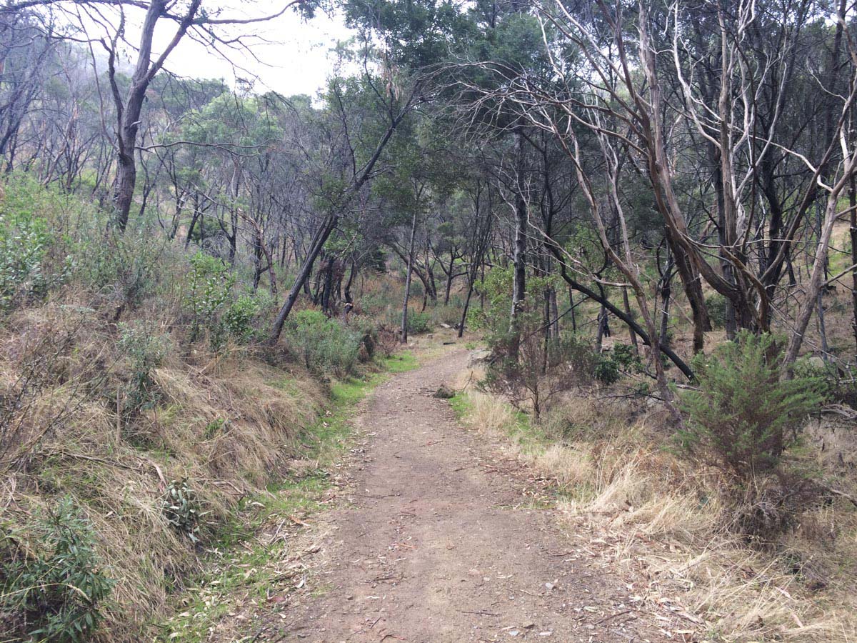 Two bays walking track 6