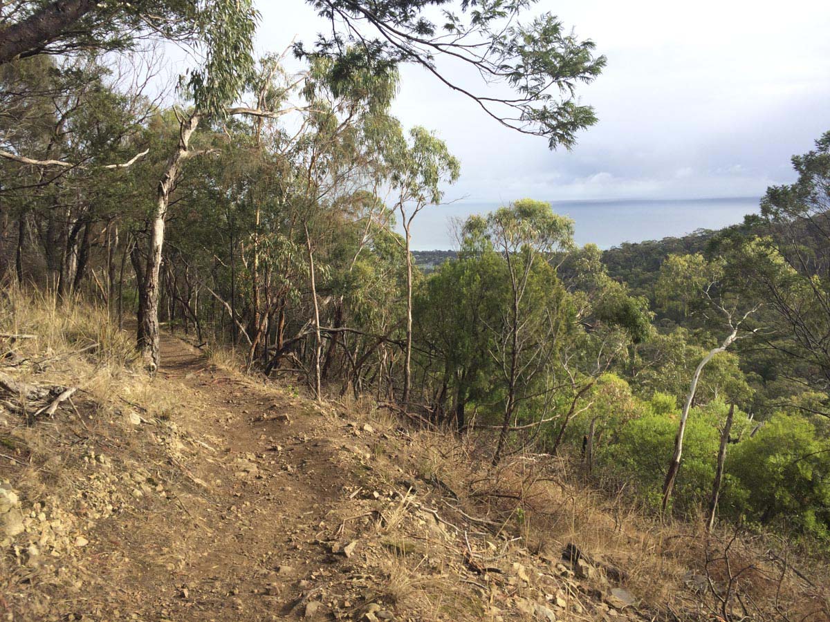 Two bays walking track 7