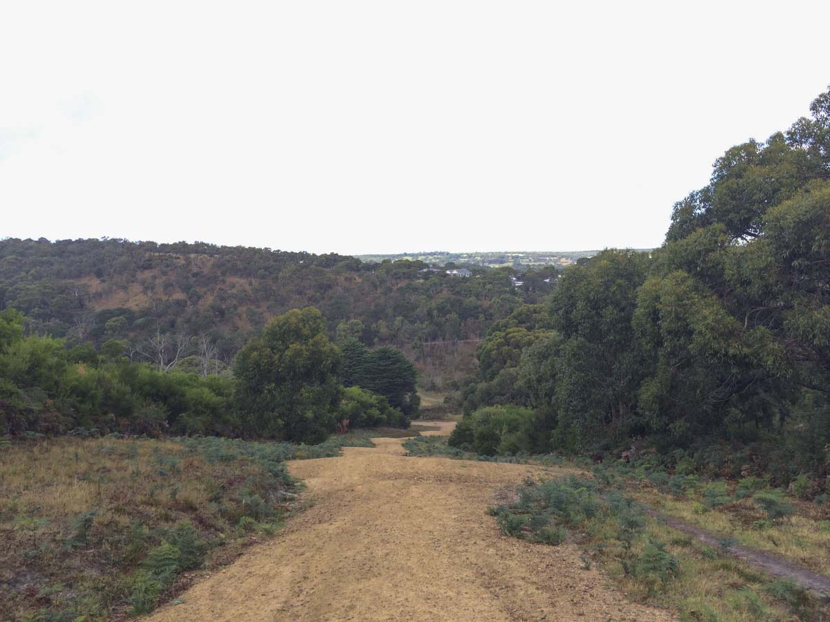 Two bays walking track 8