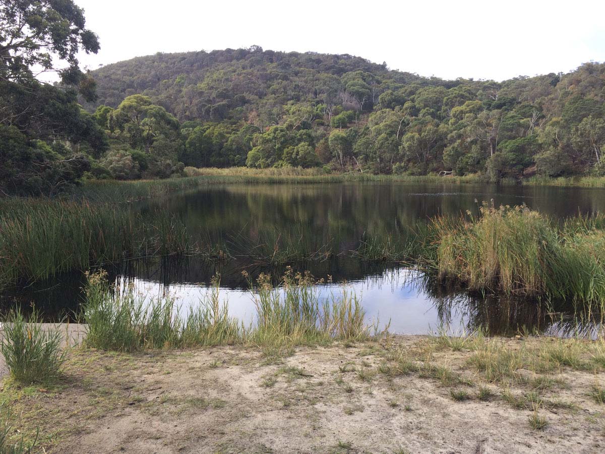Two bays walking track 9