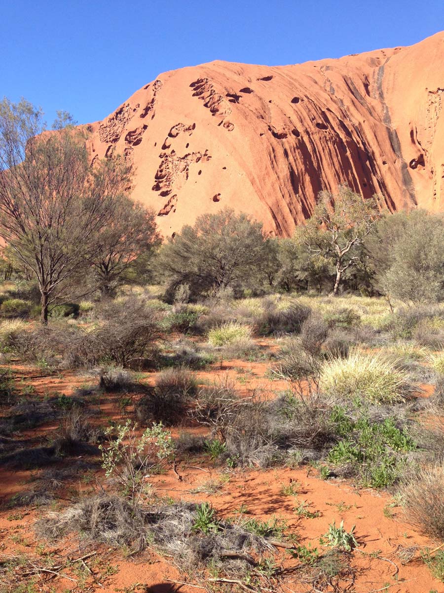 Uluru base walk 10