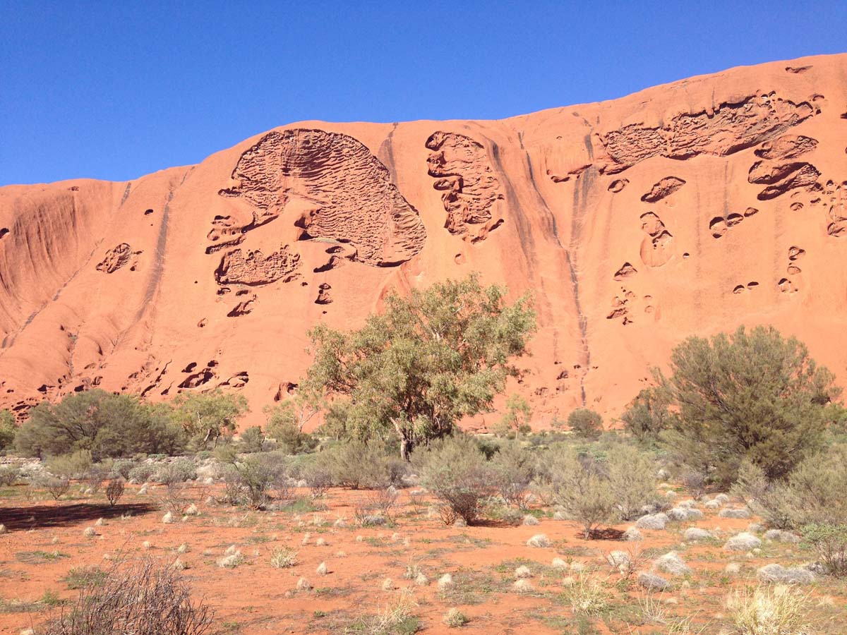 Uluru base walk 11