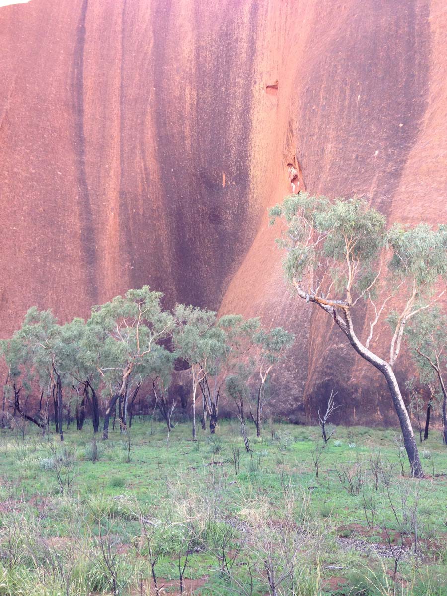 Uluru base walk 17