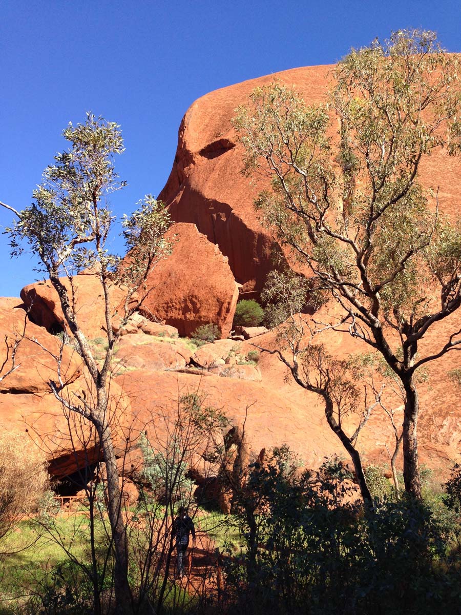 Uluru base walk 19
