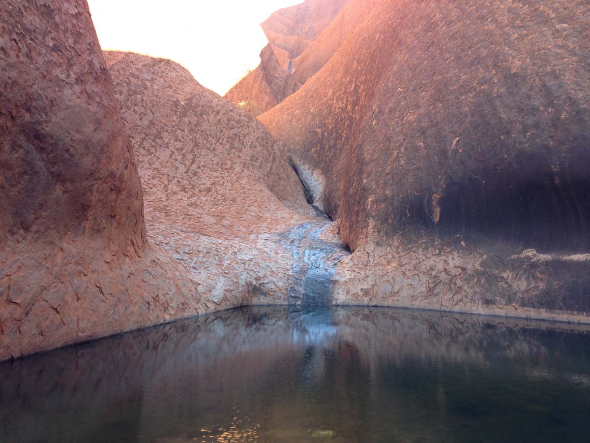 Uluru base walk 22