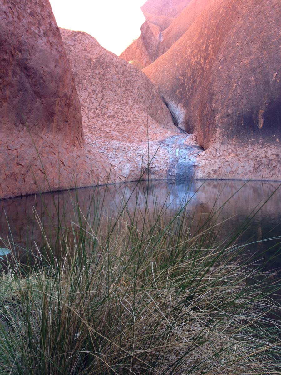 Uluru base walk 23