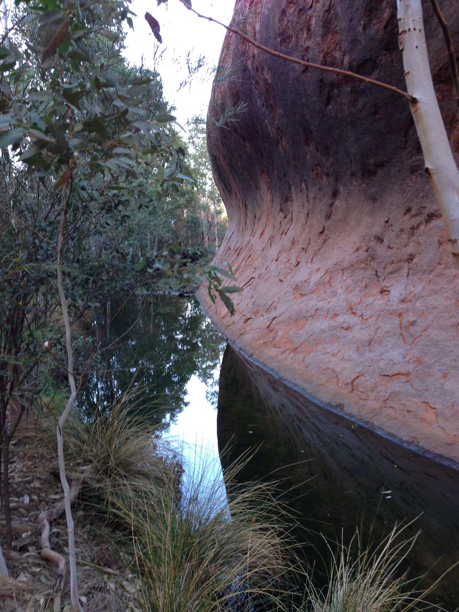 Uluru base walk 24