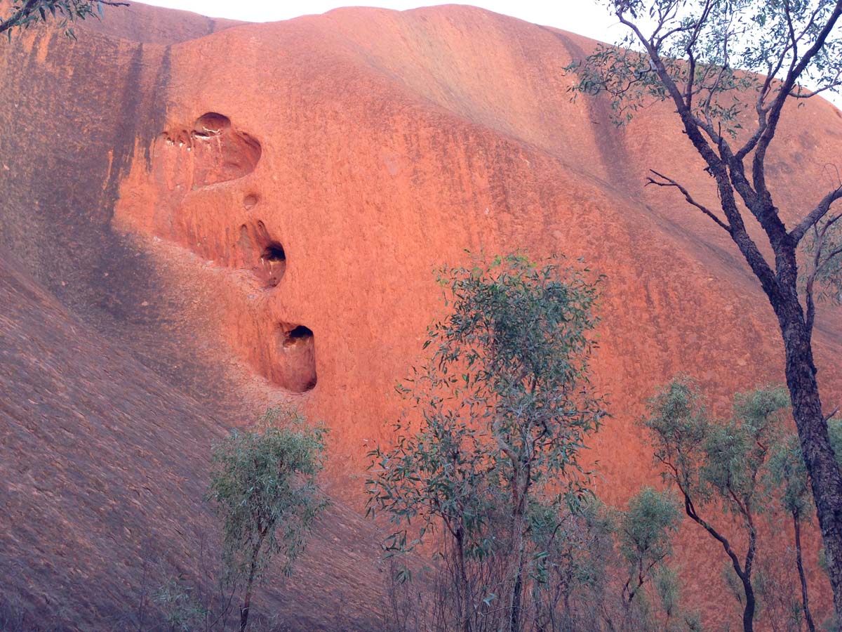 Uluru base walk 25