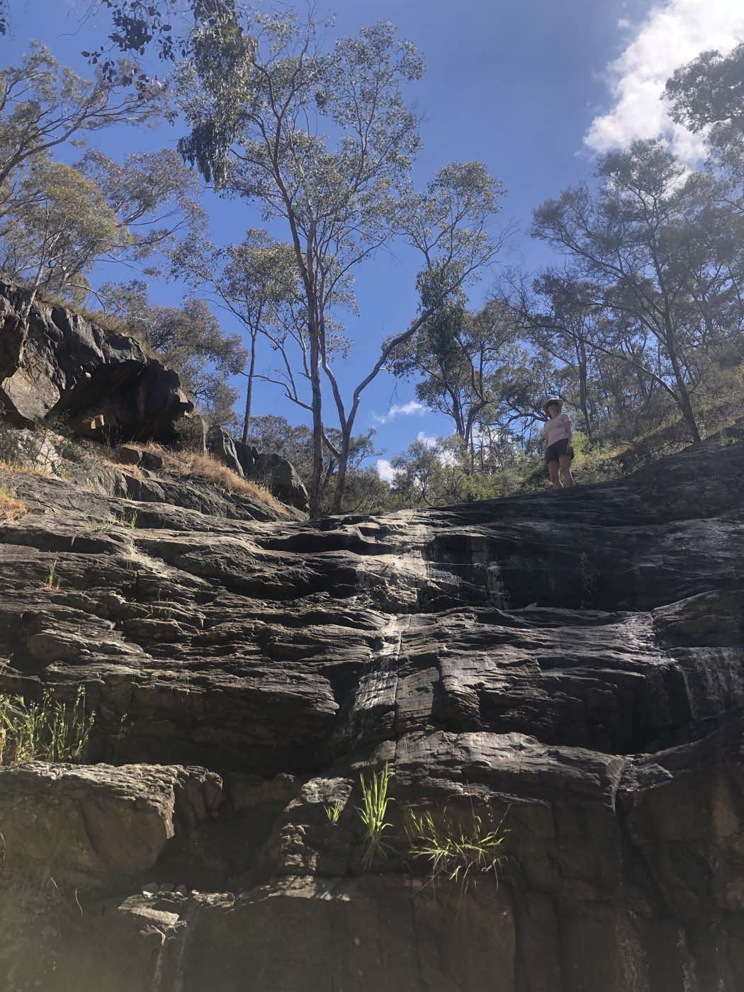 Avoca waterfall valley walk (1)
