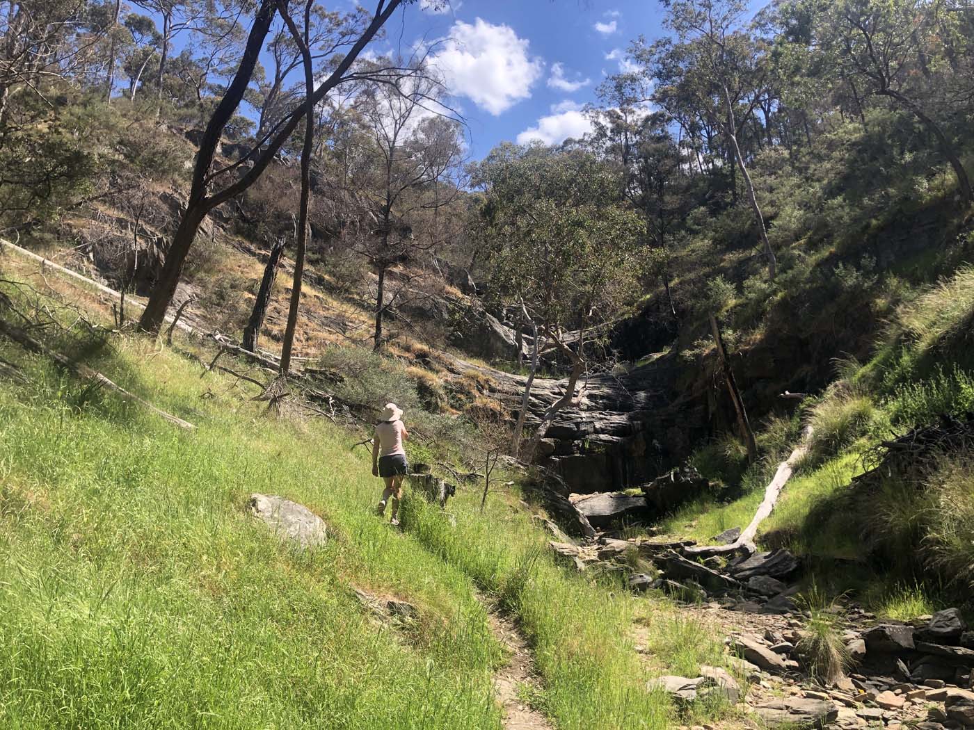 Avoca waterfall valley walk (2)