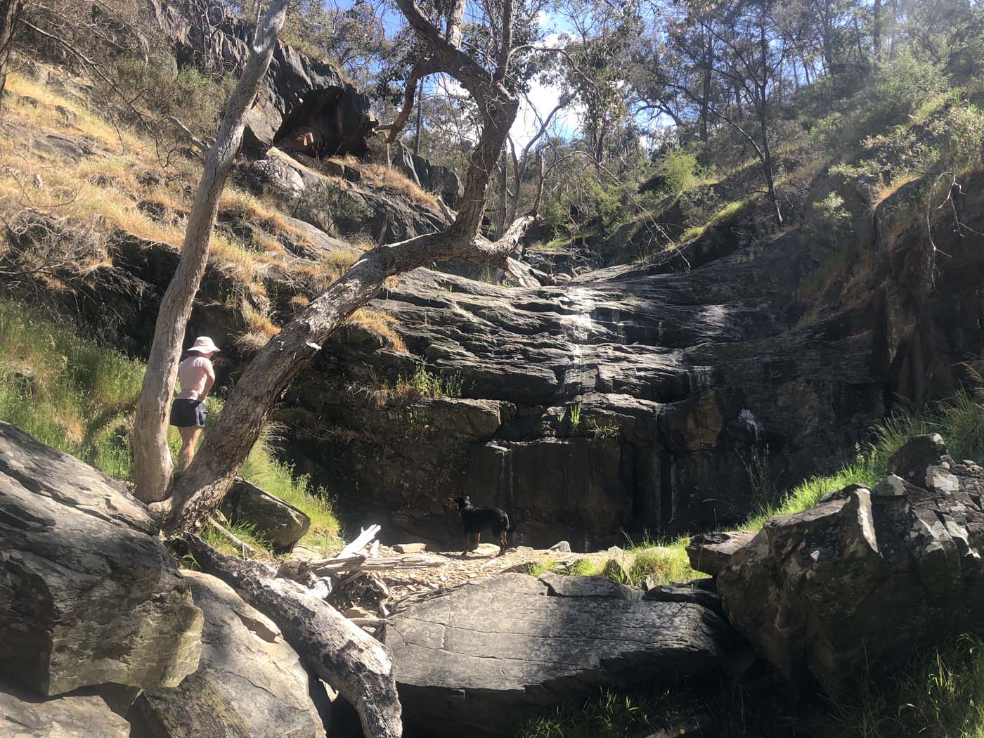 Avoca waterfall valley walk (3)