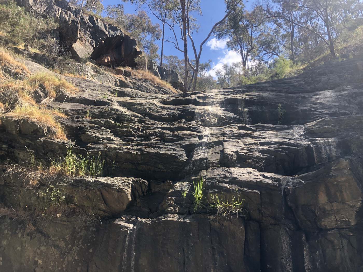 Avoca waterfall valley walk (4)