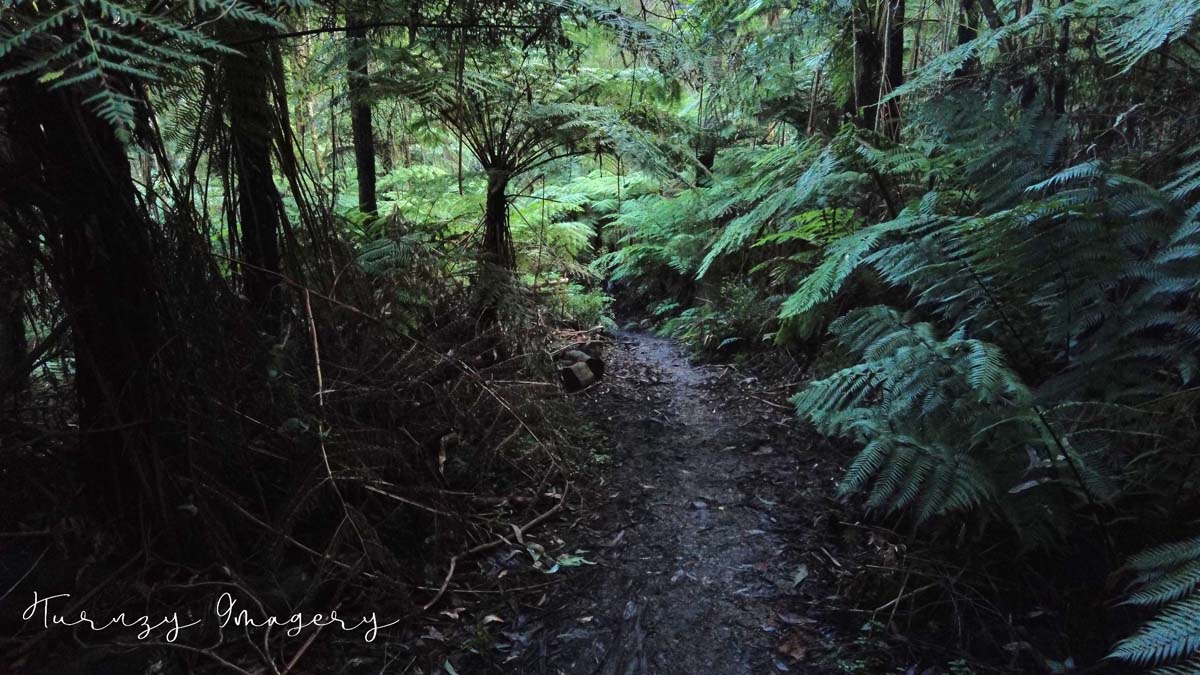 Valley of the eagles walk 1
