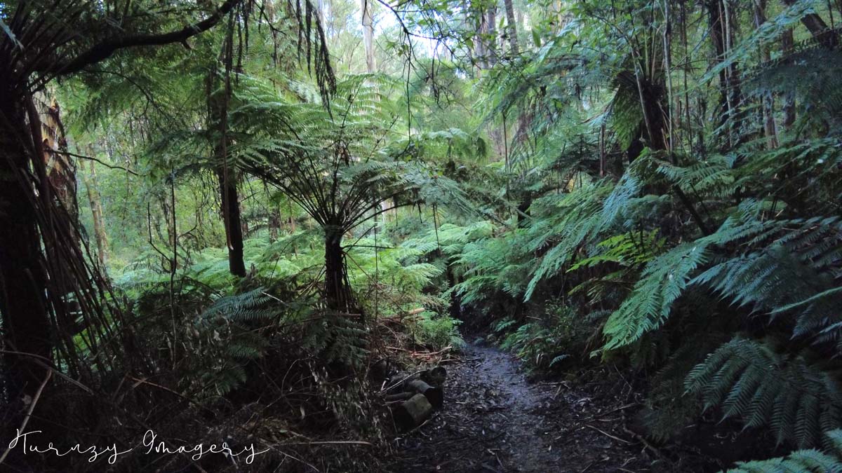 Valley of the eagles walk 2