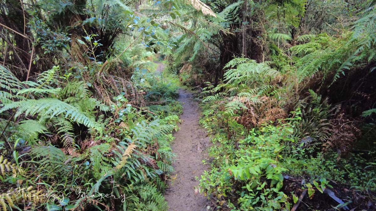 Valley of the eagles walk 3