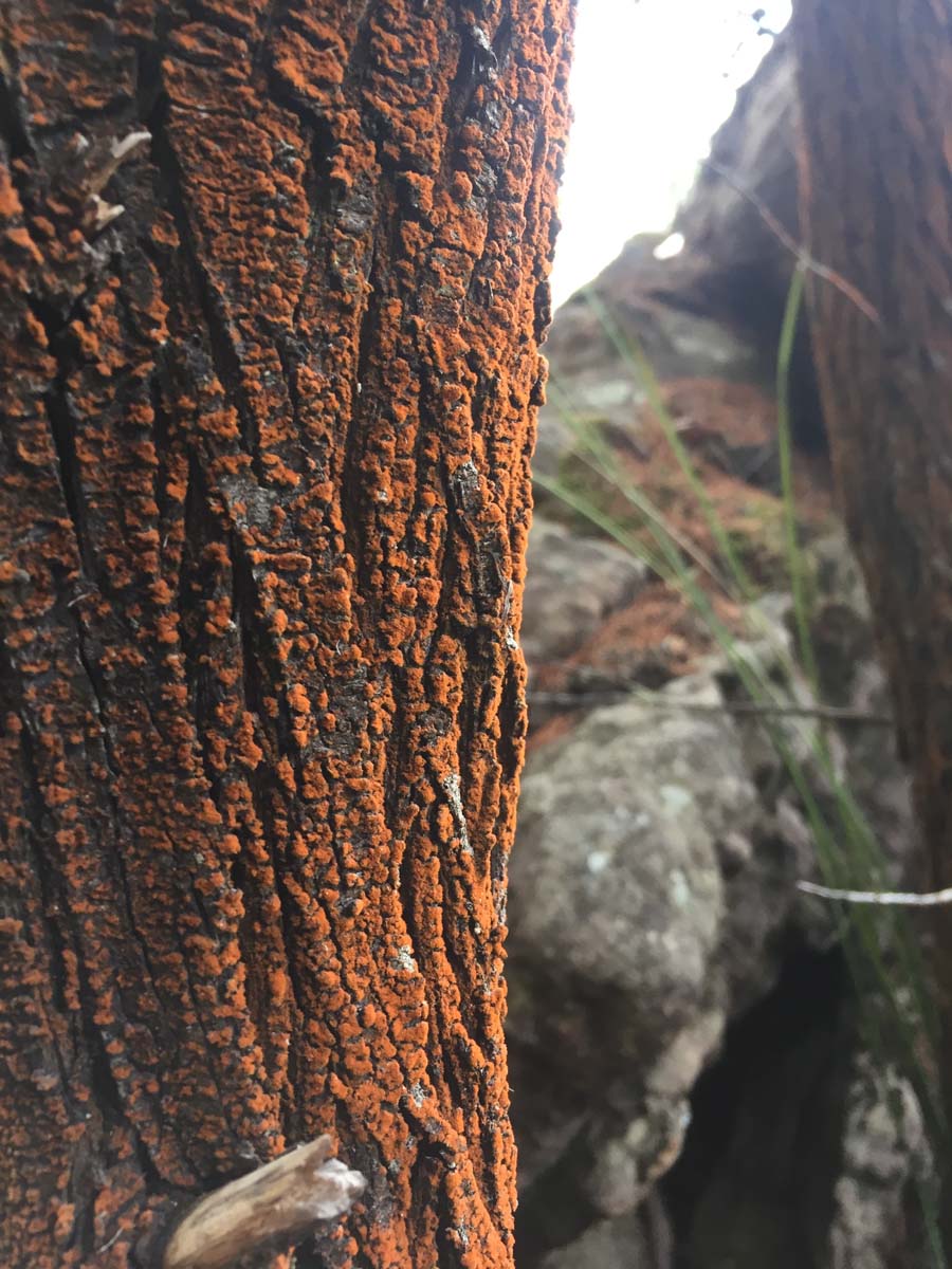 Victoria arch hike 32
