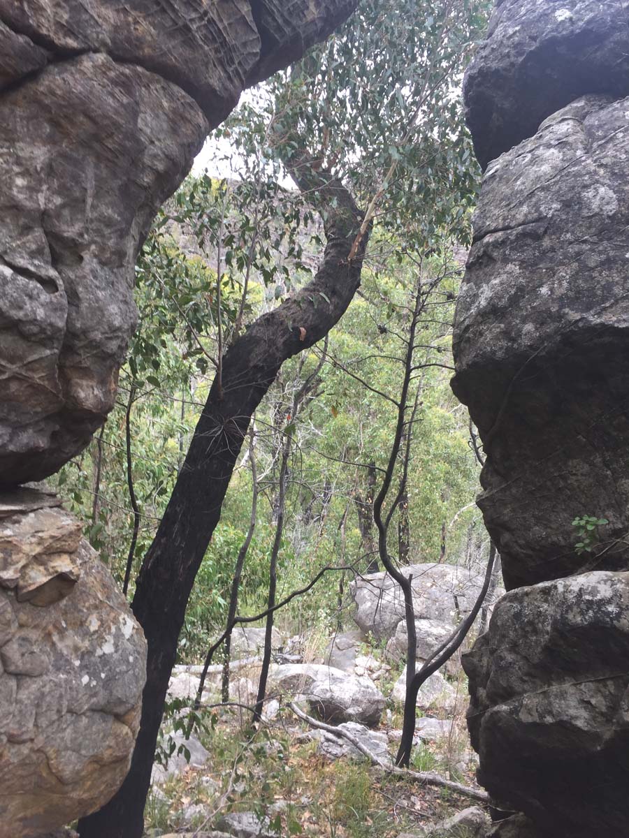 Victoria arch hike 9