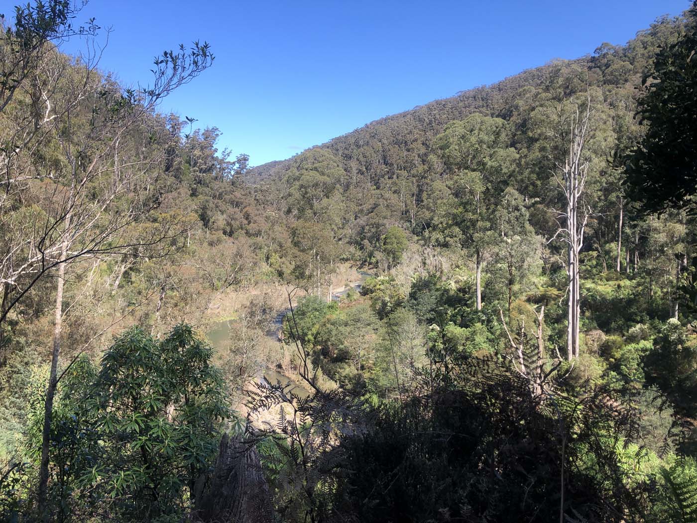 Walhalla to britannia creek (10)
