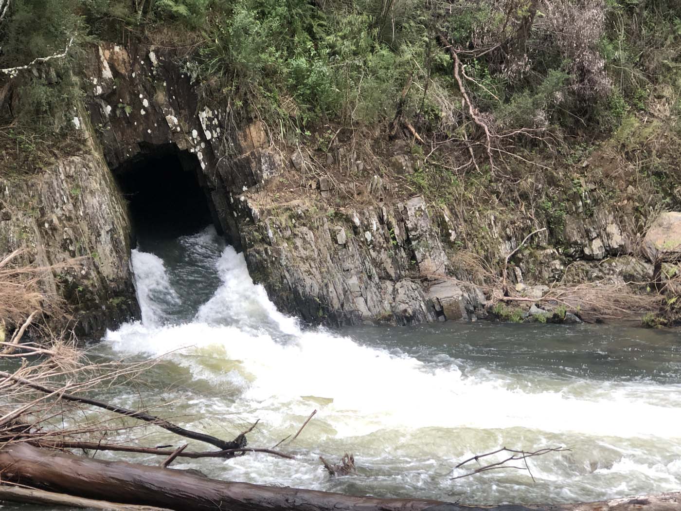 Walhalla to britannia creek (4)