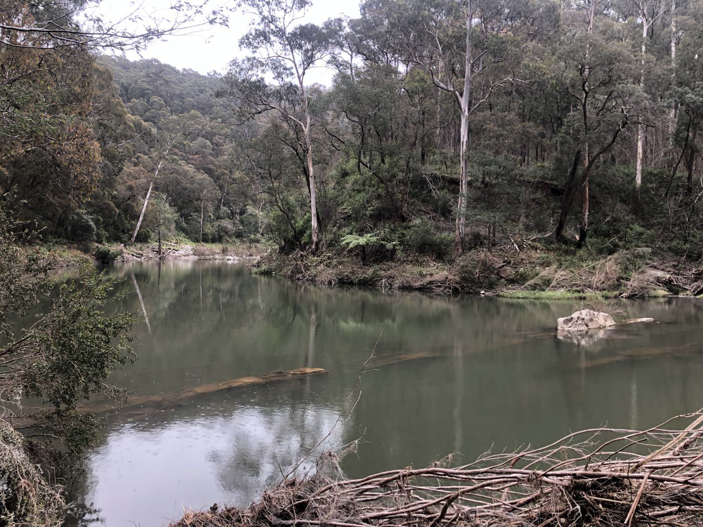 Walhalla to britannia creek (5)