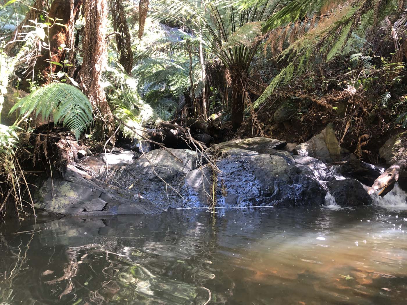 Walhalla to britannia creek (7)