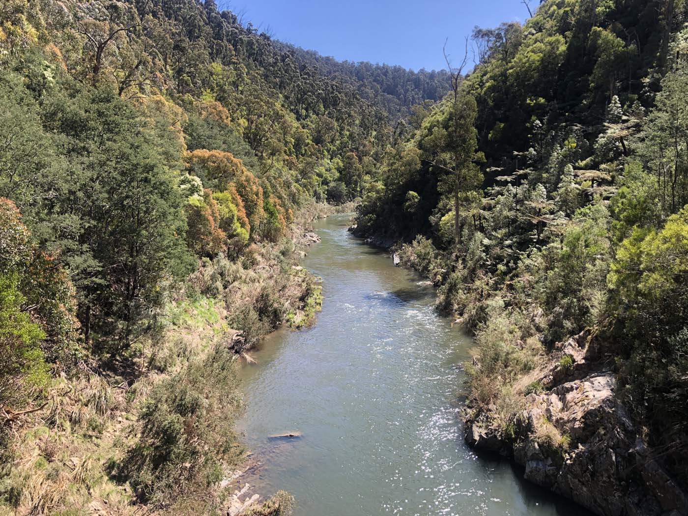 Walhalla to britannia creek (8)