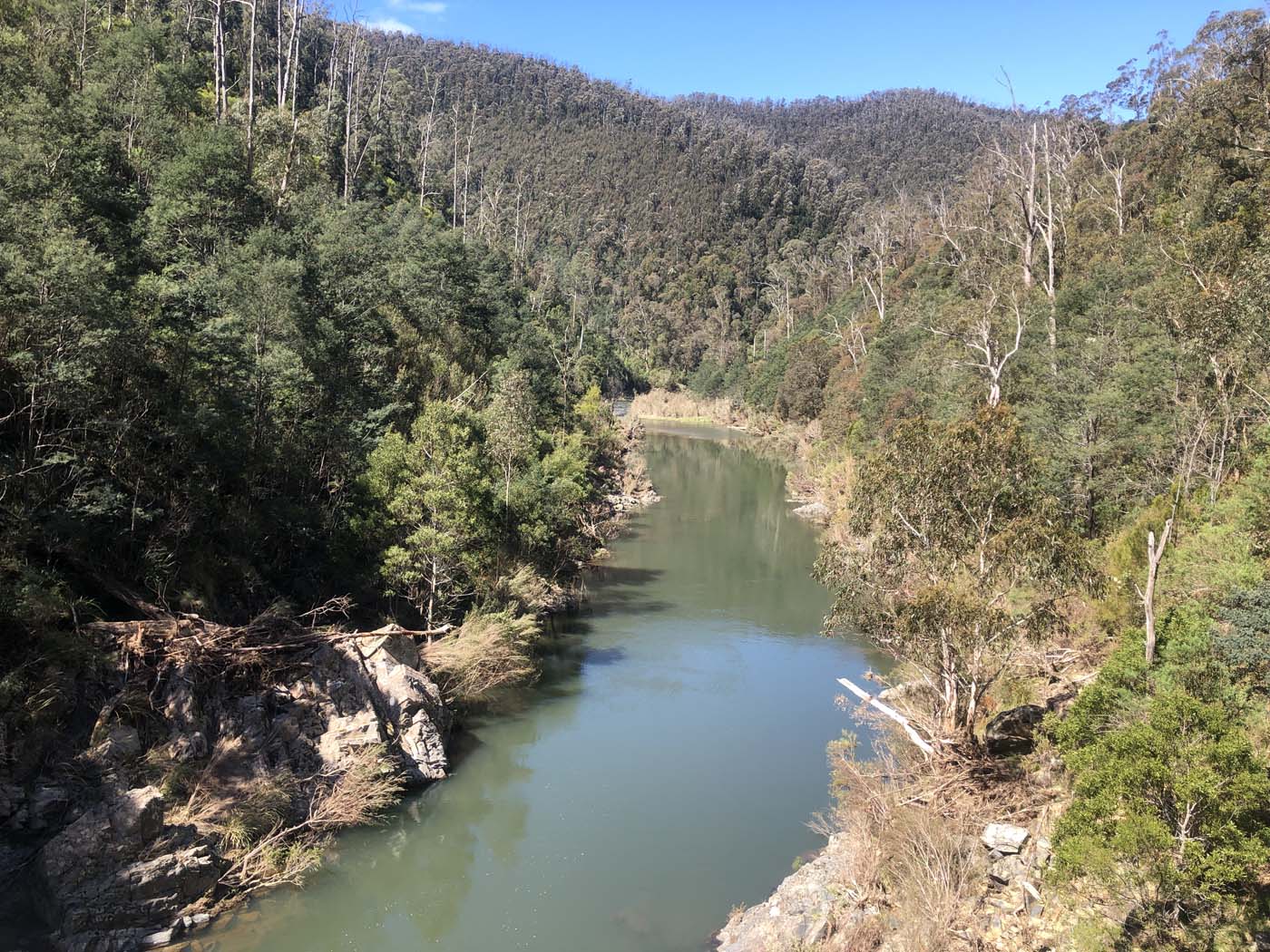 Walhalla to britannia creek (9)