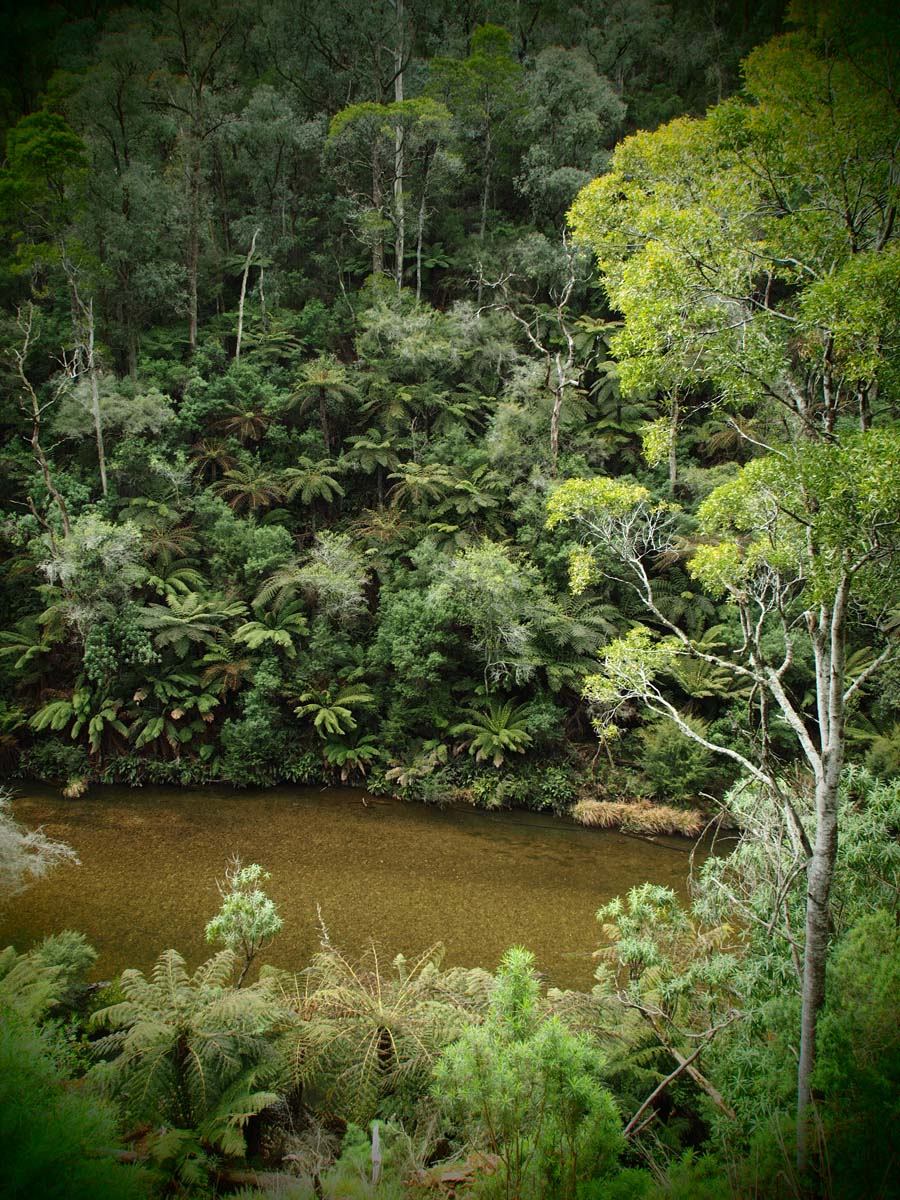 Walhalla to thomson station poverty point hike 14