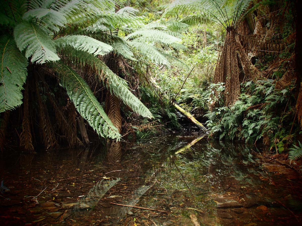 Walhalla to thomson station poverty point hike 33
