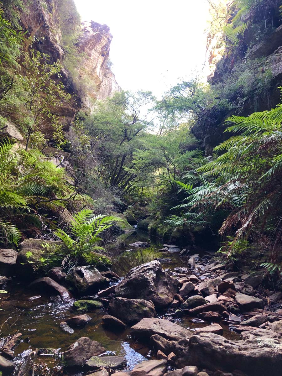 Walls cave track 13