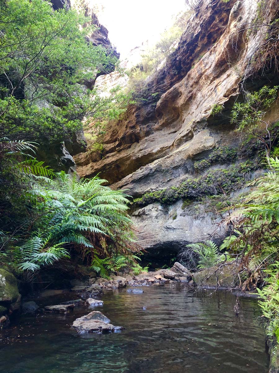 Walls cave track 15
