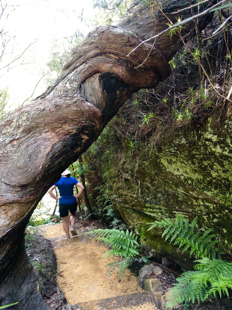 Walls cave track 3
