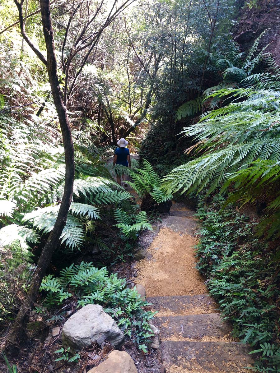 Walls cave track 4