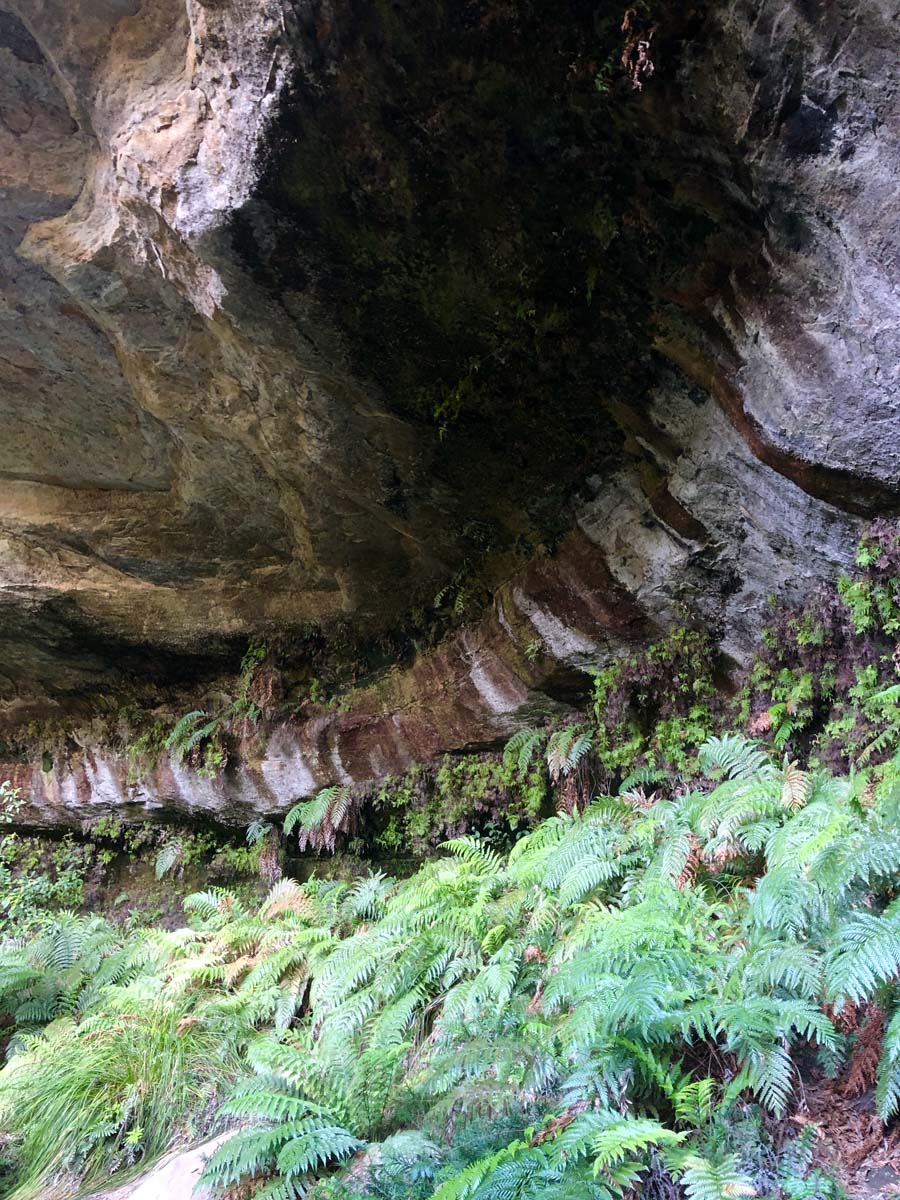 Walls cave track 6