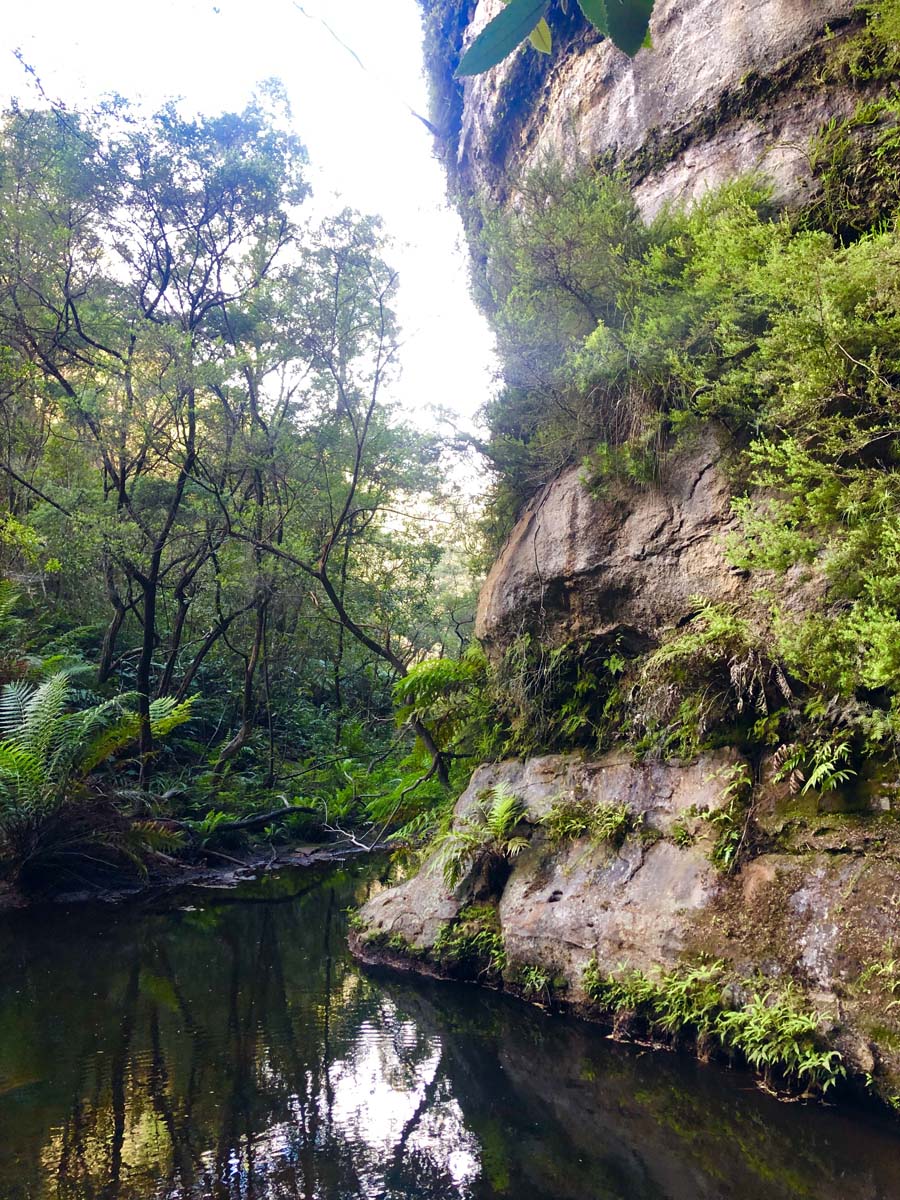 Walls cave track 8