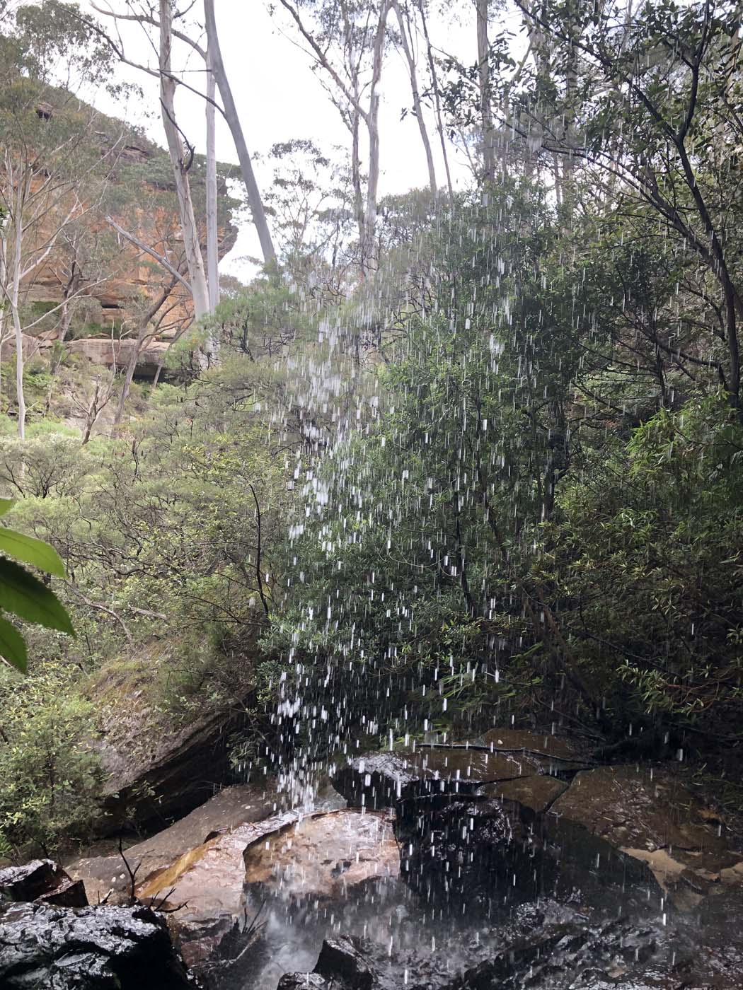 Porters pass hike (45)