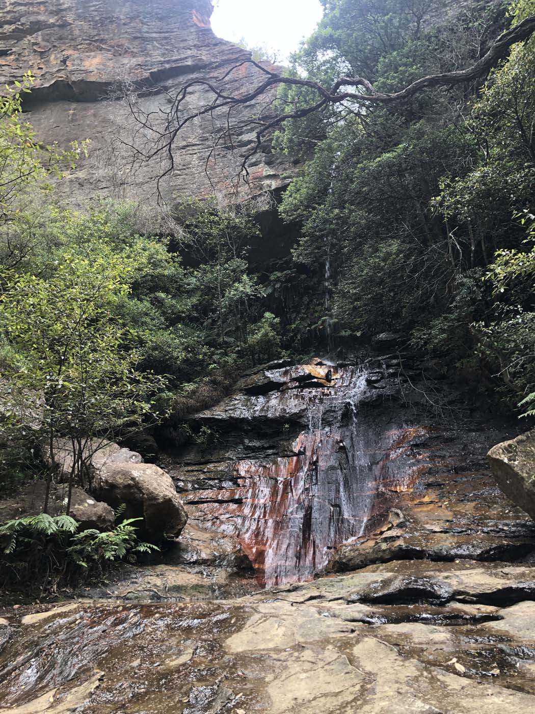 Porters pass hike (49)