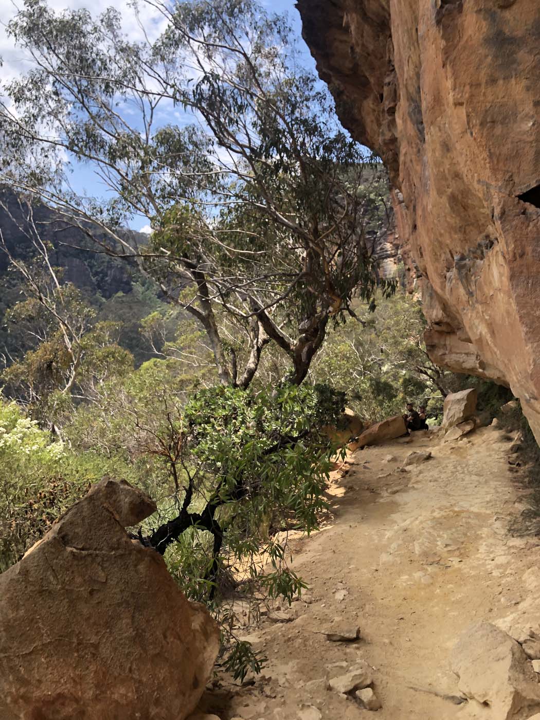 Porters pass hike (18)
