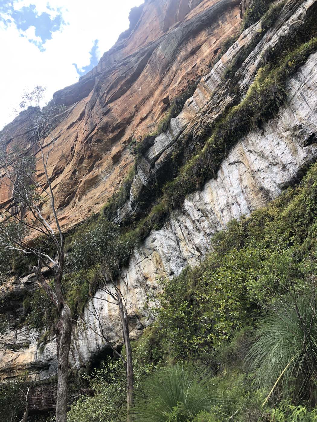 Porters pass hike (22)