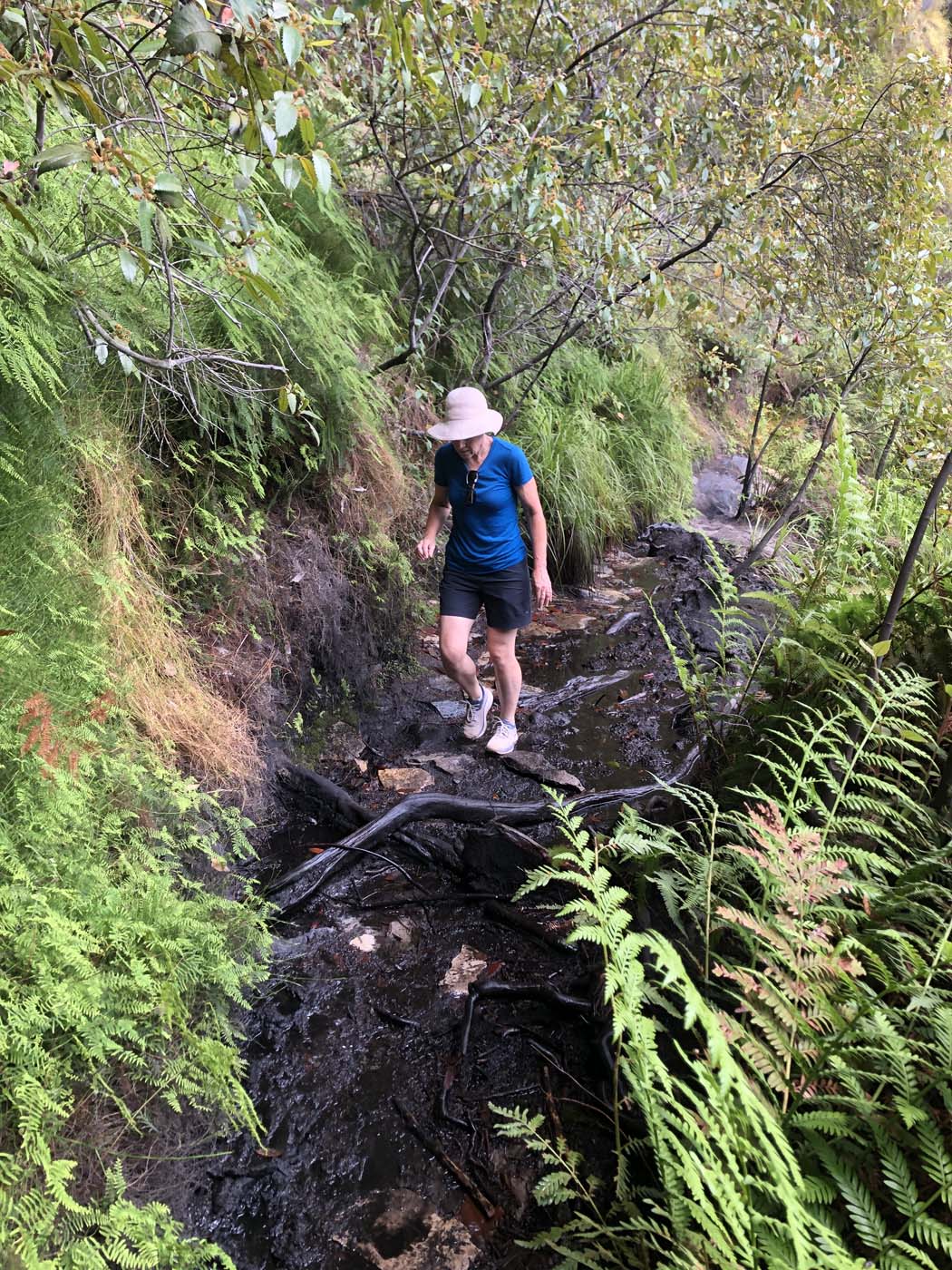 Porters pass hike (23)