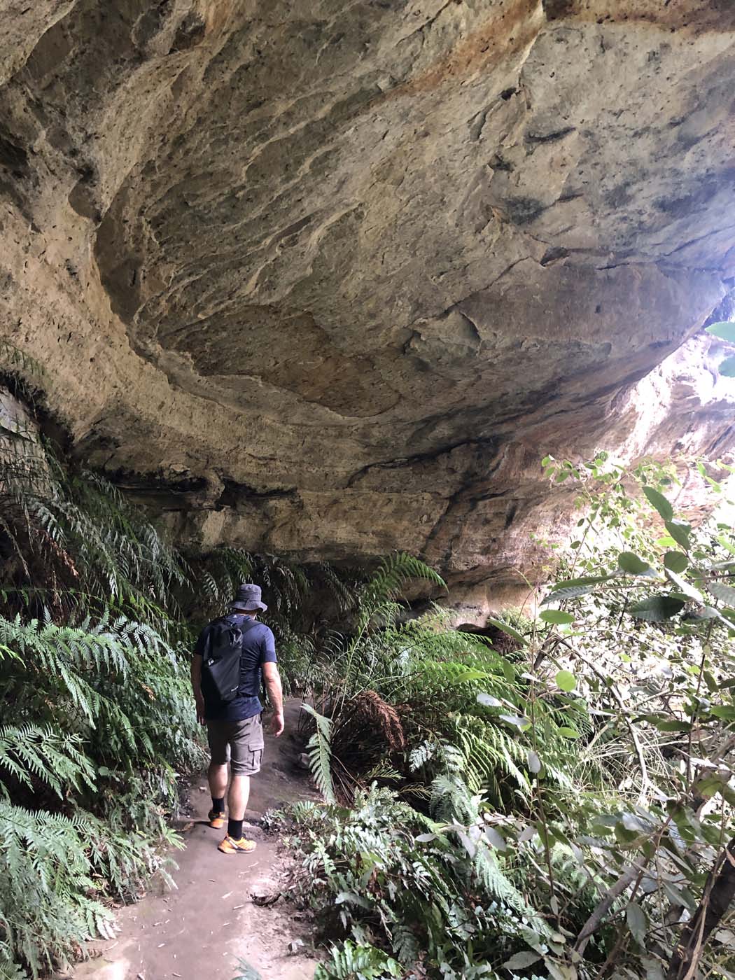 Porters pass hike (40)