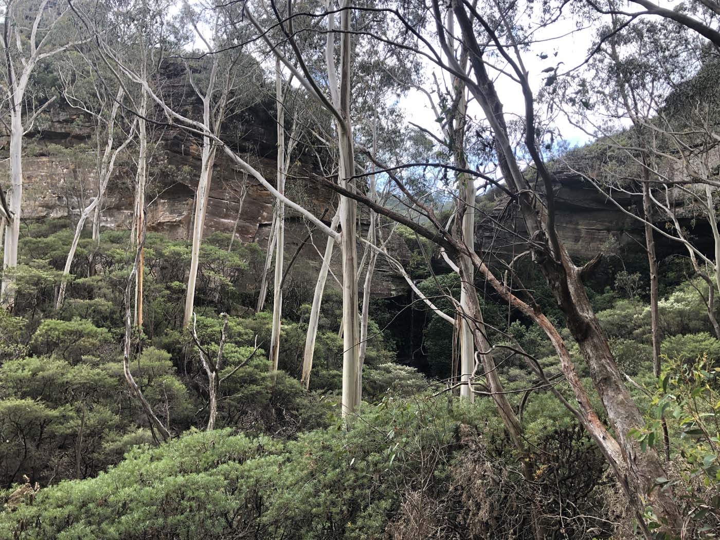 Porters pass hike (50)