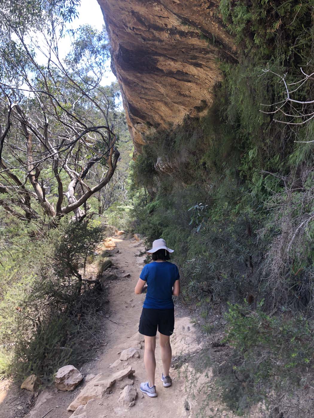 Porters pass hike (1)