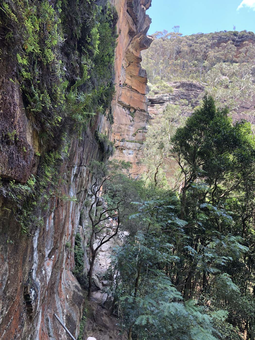 Porters pass hike (10)
