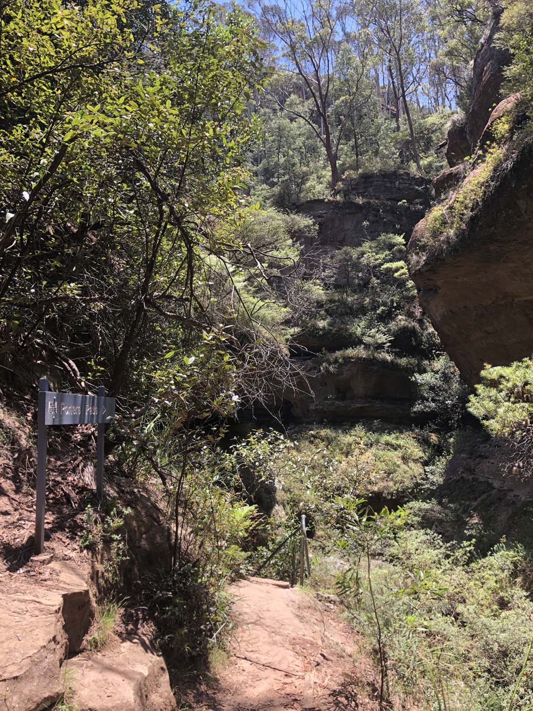 Porters pass hike (14)