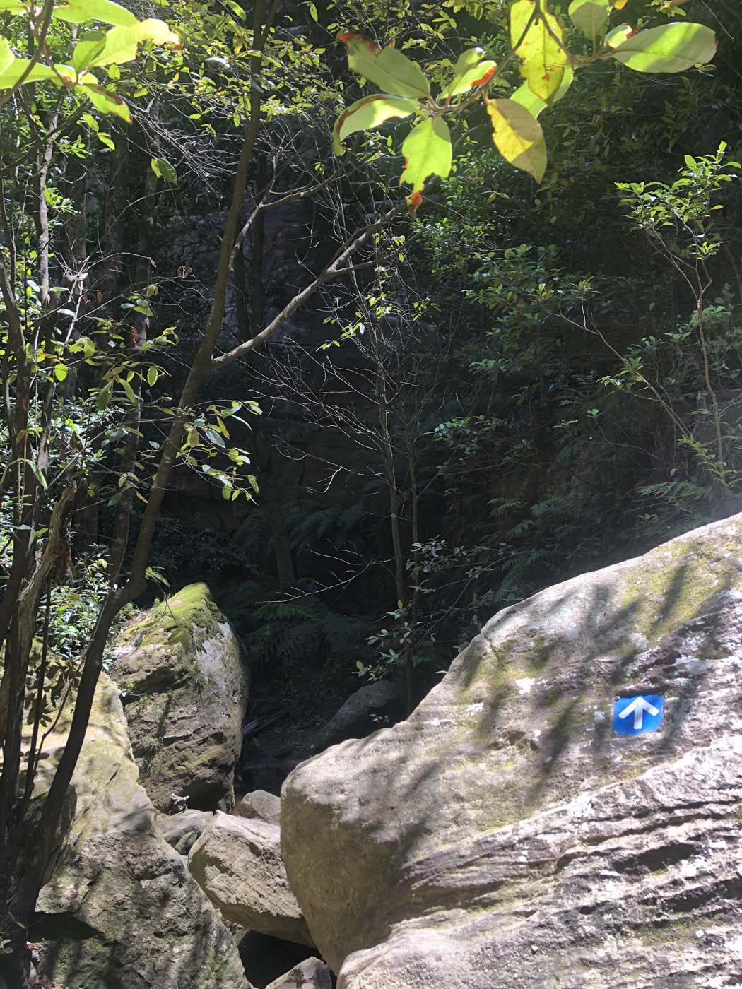 Porters pass hike (15)