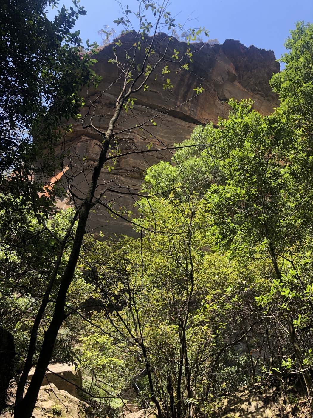 Porters pass hike (16)