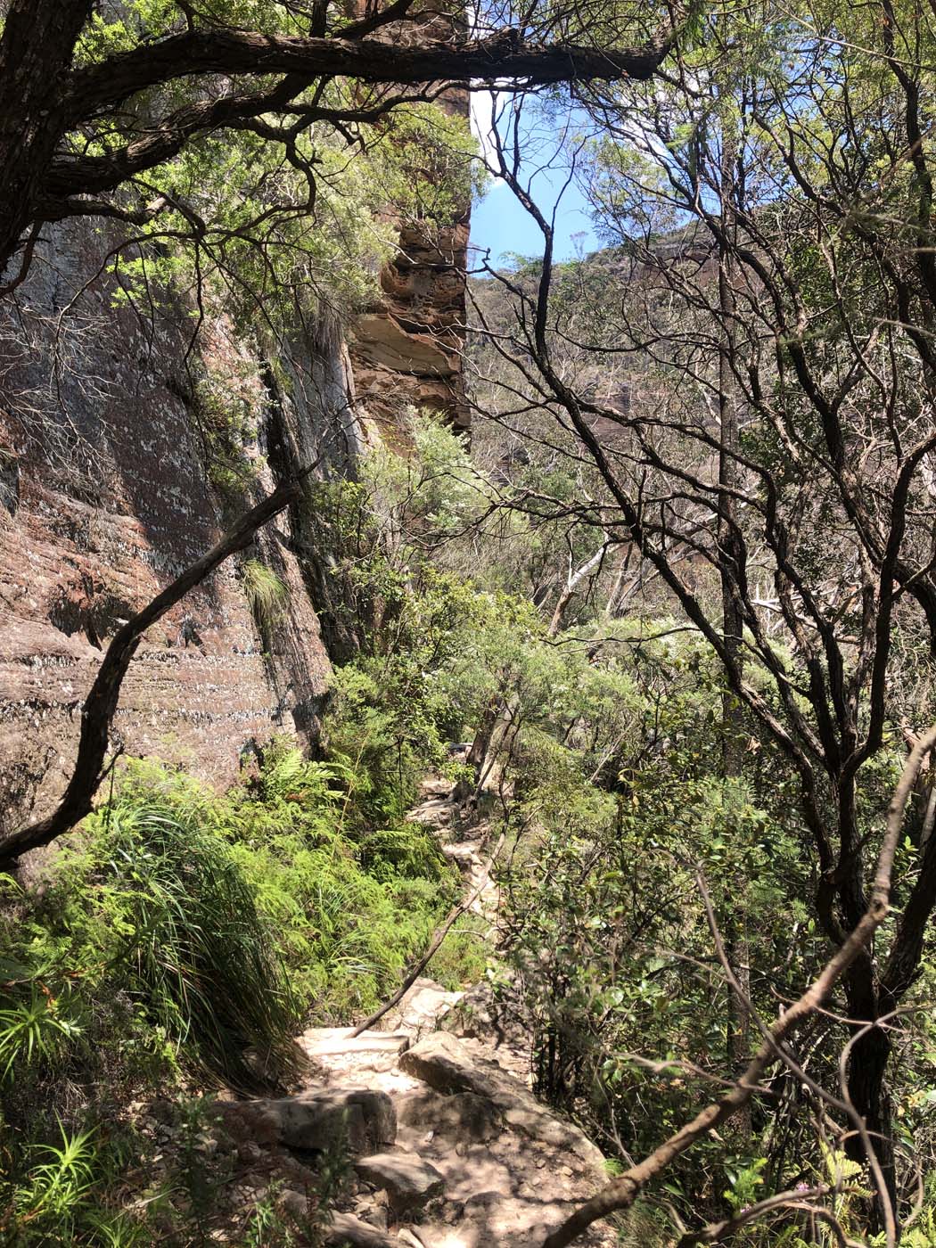 Porters pass hike (17)