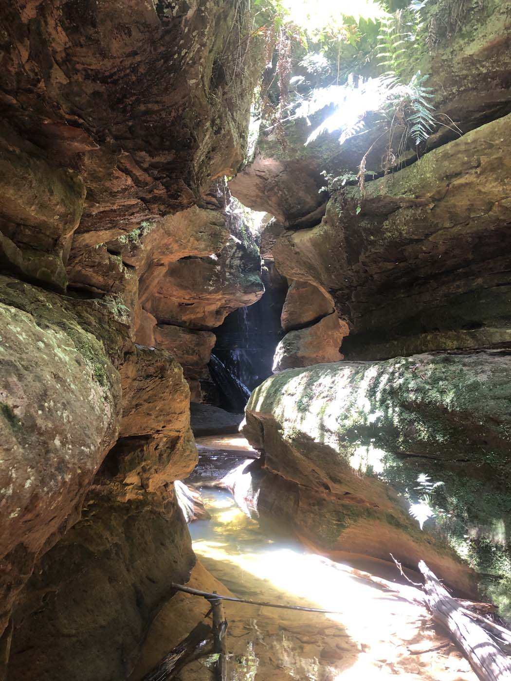 Porters pass hike (2)